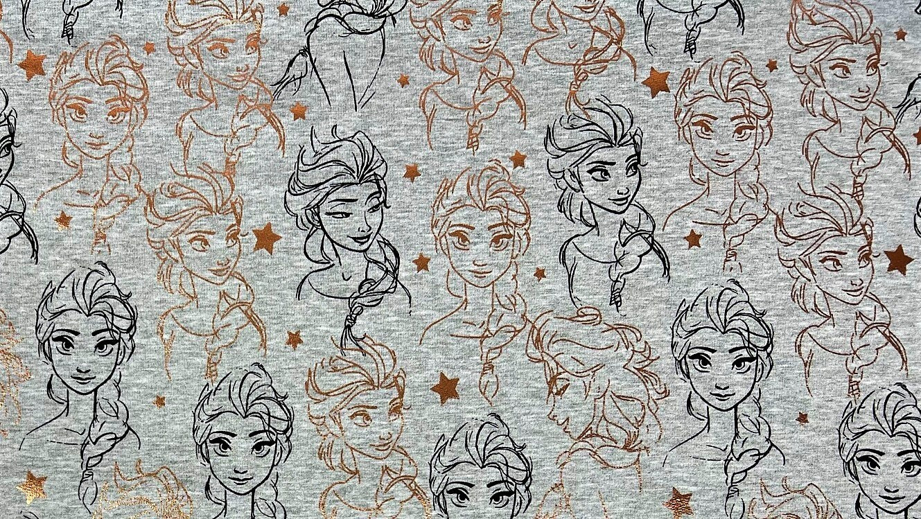 French Terry Stoff Anna und Elsa Disney Eiskönigin - Preis für 0,5m Lizenzstoffe