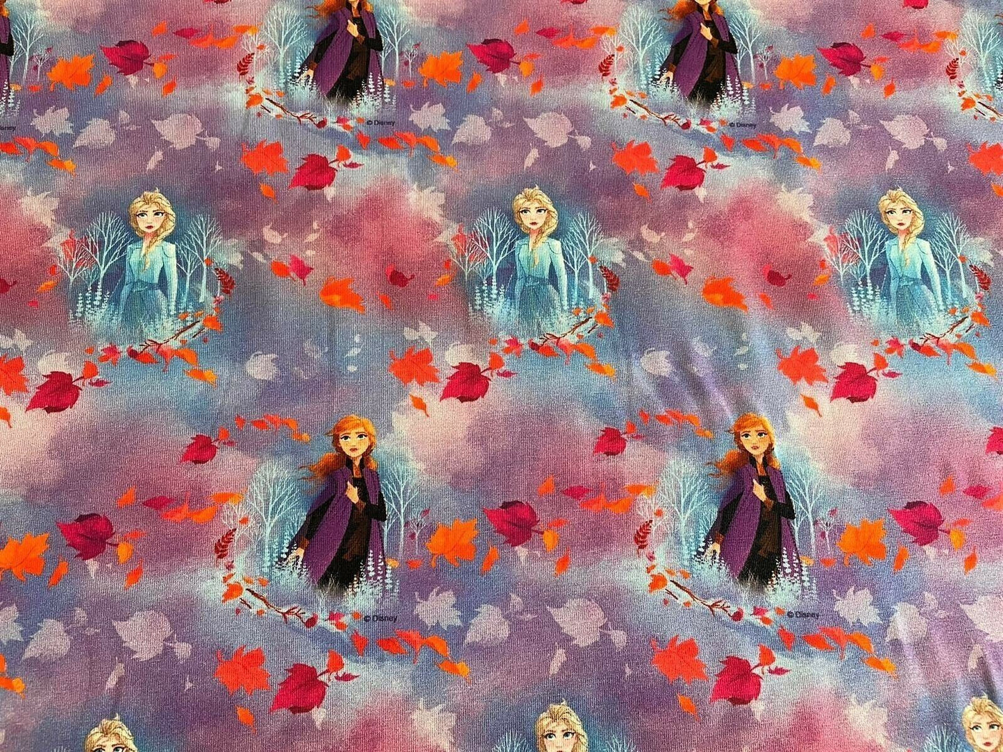 Jersey Stoff Anna und Elsa Disney Eiskönigin - Preis für 0,5m Baumwolljersey