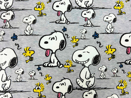 Bio Baumwolljersey Snoopy Peanuts Lizenz GOTS zertifiziert Preis gilt für 0,50 m