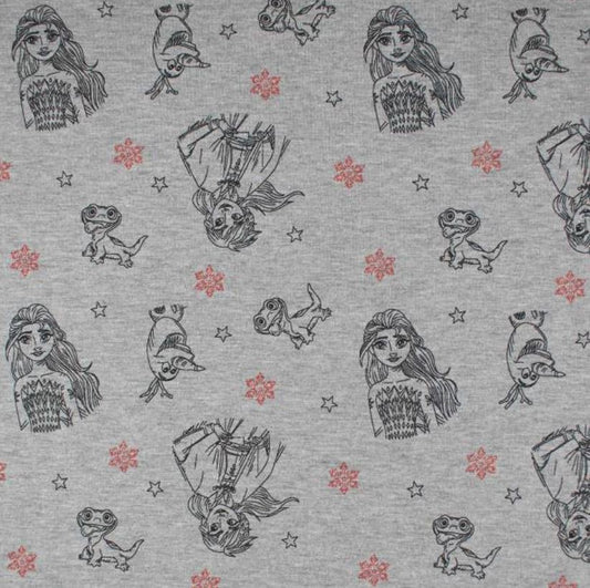 French Terry Stoff Anna und Elsa Disney Eiskönigin - Preis für 0,5m Lizenzstoffe